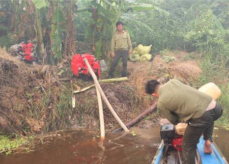 Sét đánh làm cháy rừng tại vườn Quốc gia U Minh Hạ